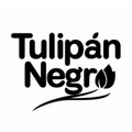 Tulipan Negro